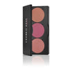 Frankie Rose 3 Shade Blush - Ravish #3sb101-make-up cosmetics-Universal Nail Supplies