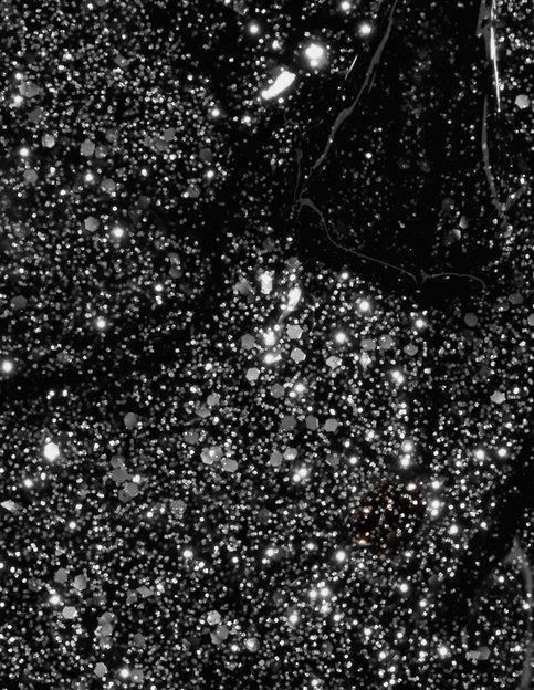 Opi GelColor Ds Pewter #G05-Gel Nail Polish-Universal Nail Supplies